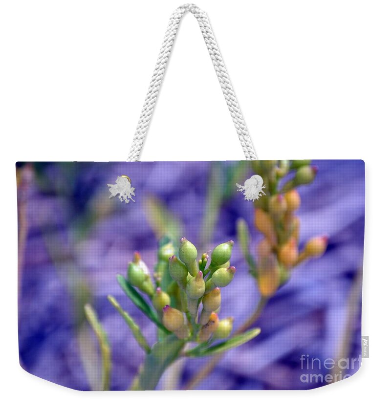 Pods Weekender Tote Bag featuring the photograph Purple Pods by Lynellen Nielsen