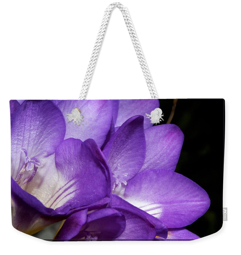 Flower Weekender Tote Bag featuring the photograph Purple Springtime by Phyllis Denton