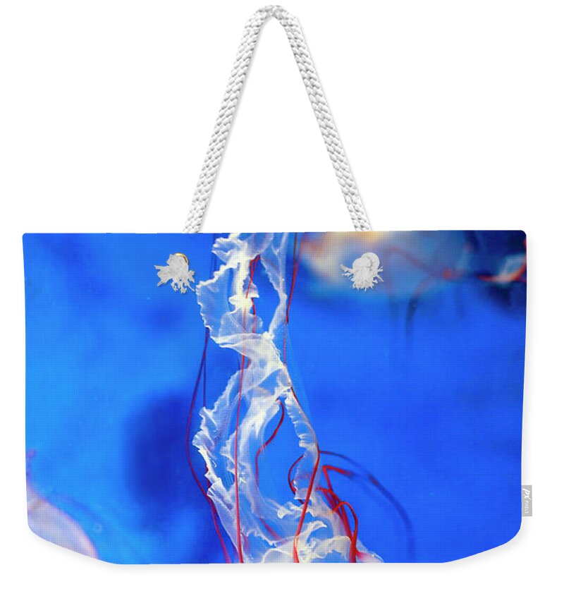 Purple Weekender Tote Bag featuring the photograph Purple Striped Jelly In Aquarium by Digipub