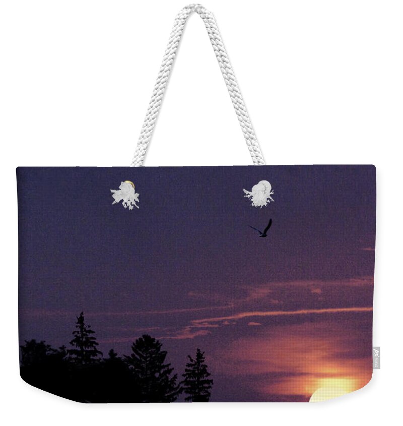 Purple Sunset With Forest Silhouette Weekender Tote Bag featuring the photograph Purple Sunset With Sea Gull by Peter V Quenter