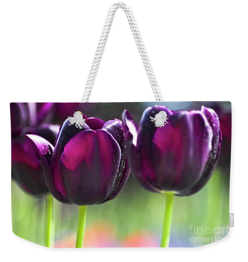 Tulip Weekender Tote Bag featuring the photograph Purple tulips by Heiko Koehrer-Wagner