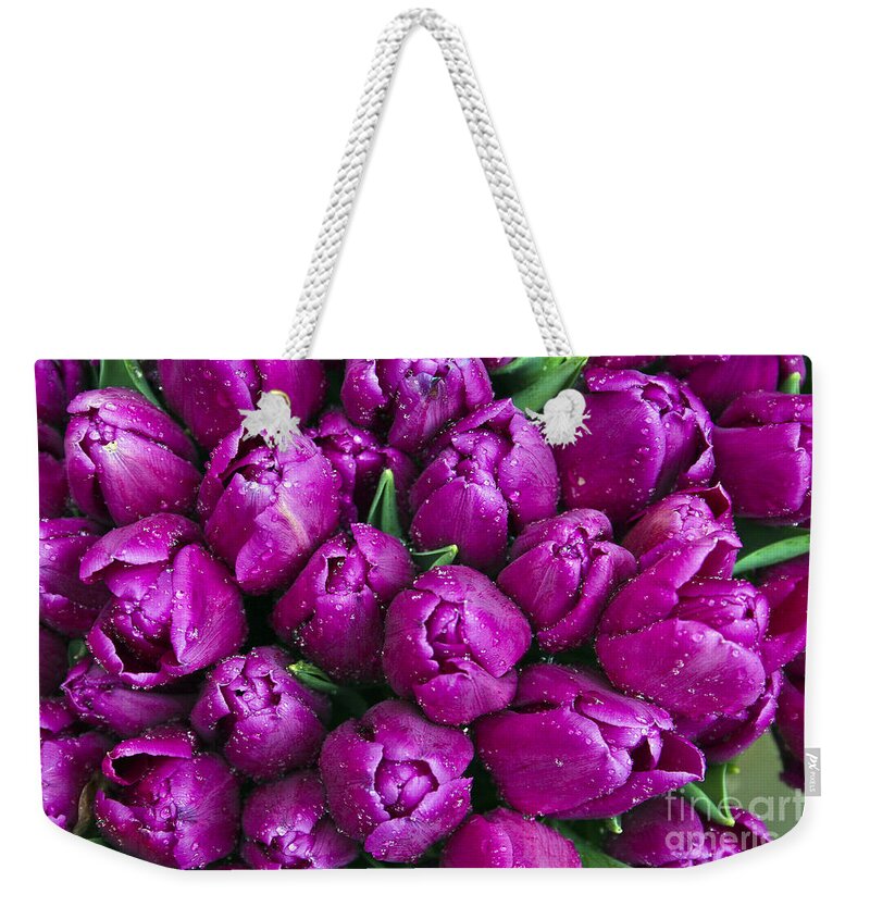 Flowers Weekender Tote Bag featuring the photograph Purple Tulips by Timothy Hacker