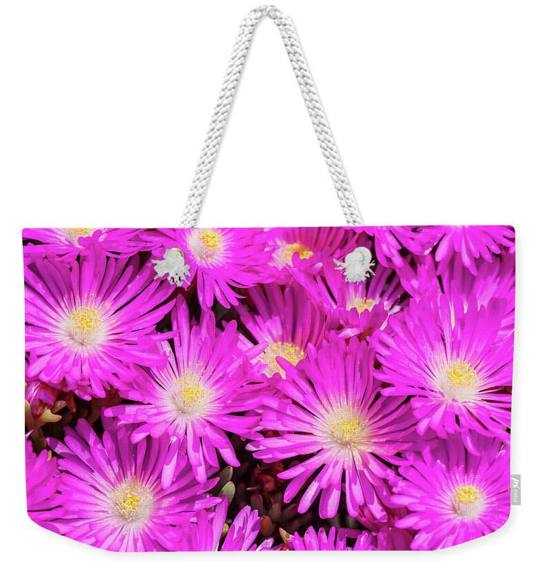 Purple Weekender Tote Bag featuring the photograph Purple Vygie Flowers Against Blue Sky by Peter Chadwick