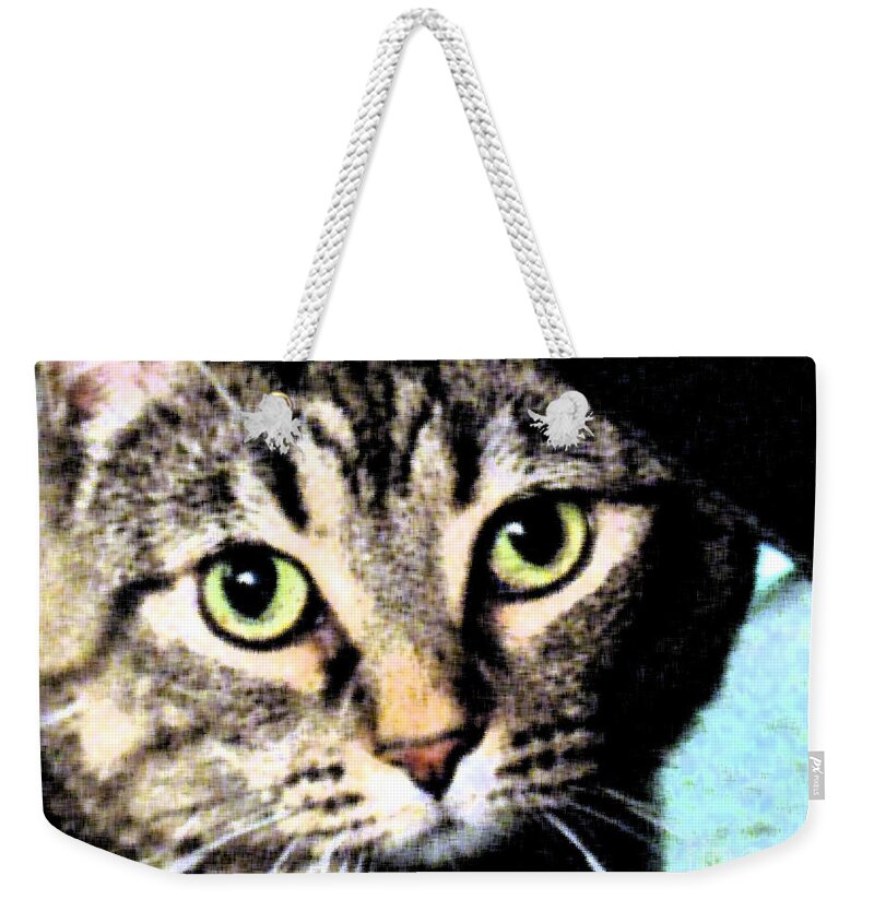 Cats Weekender Tote Bag featuring the photograph Purrfectly Bright Eyed by Nina Silver