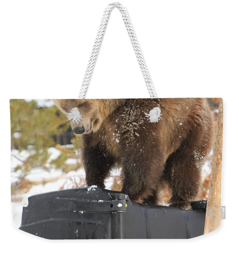 Grizzly Bear Weekender Tote Bag featuring the photograph Puzzler by Adam Jewell