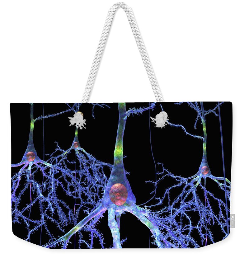Anatomical Weekender Tote Bag featuring the digital art Pyramidal Cells from Brain by Russell Kightley