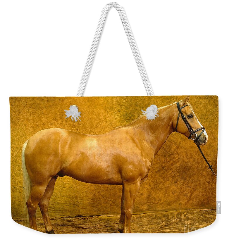 Animal Weekender Tote Bag featuring the photograph Quarter Horse by Will and Deni McIntyre