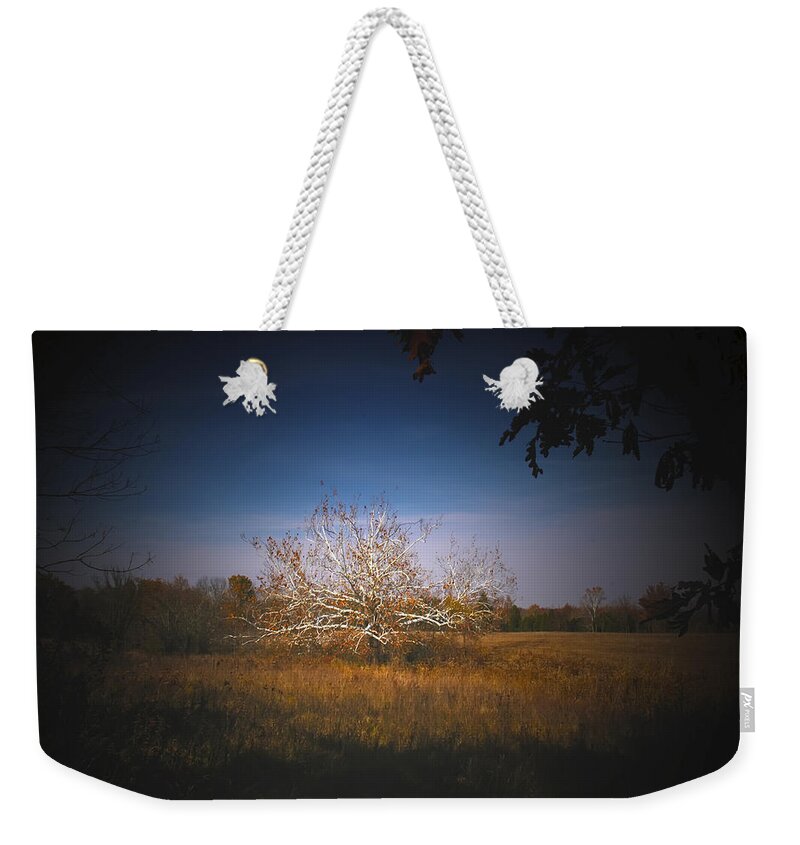 Sycamore Tree Weekender Tote Bag featuring the photograph Quarter Sawn Wood of Sycamore by Randall Branham