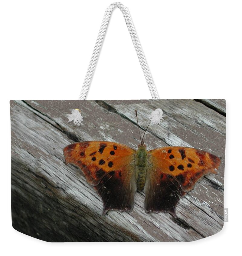 Bug Weekender Tote Bag featuring the photograph Question Mark Butterfly by Mike Kling