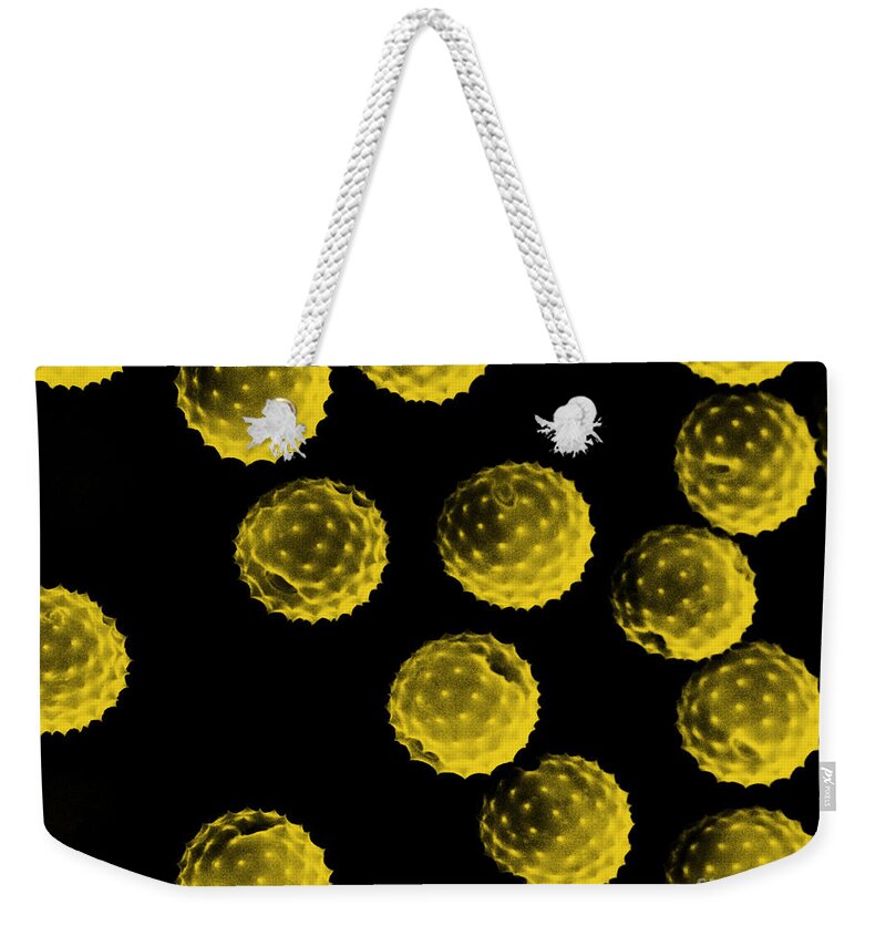 Botany Weekender Tote Bag featuring the photograph Ragweed Pollen Sem by David M. Phillips