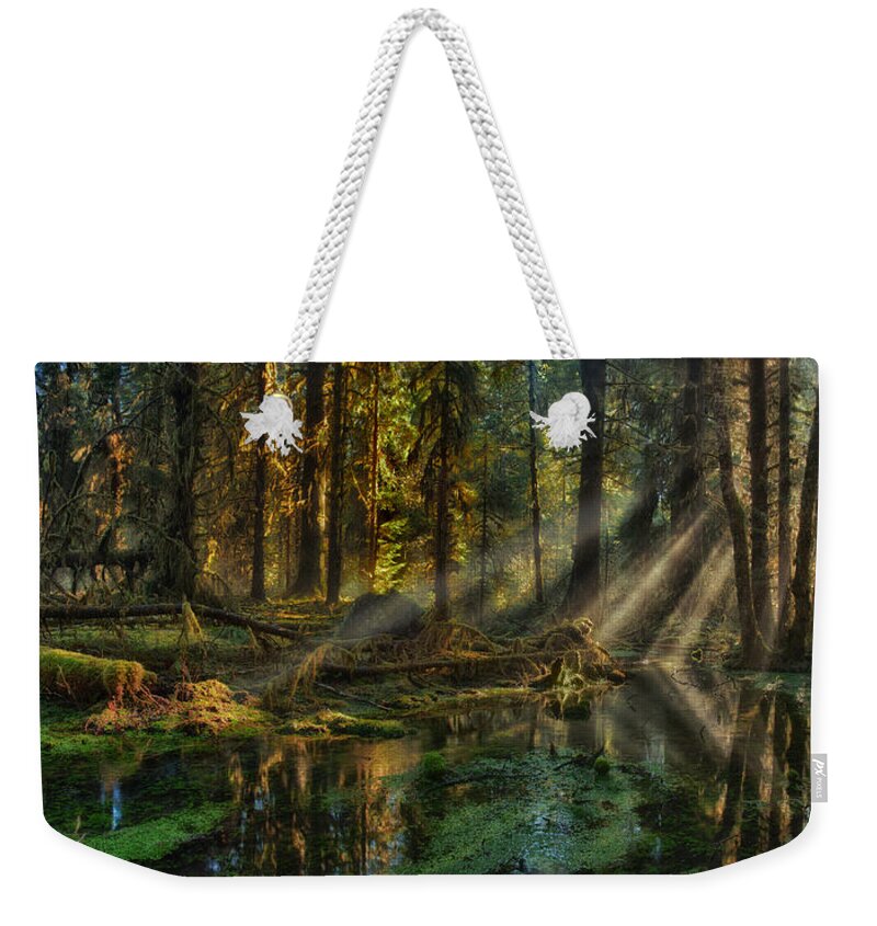 Rain Forest Weekender Tote Bag featuring the photograph Rain Forest Sunbeams by Mary Jo Allen