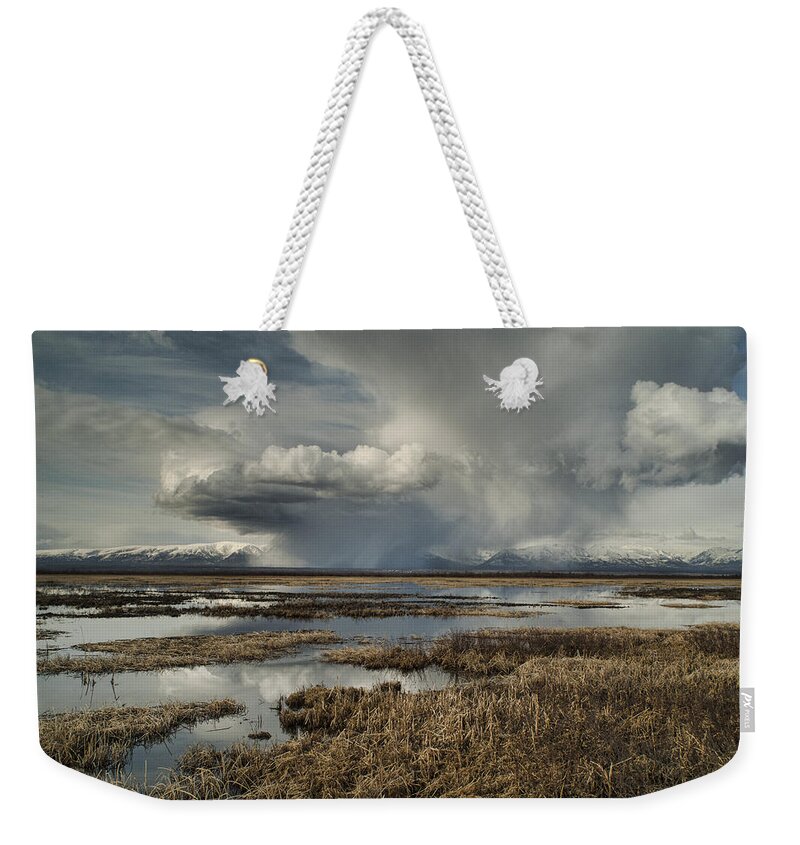 Alaska Weekender Tote Bag featuring the photograph Rain Storm by Erika Fawcett