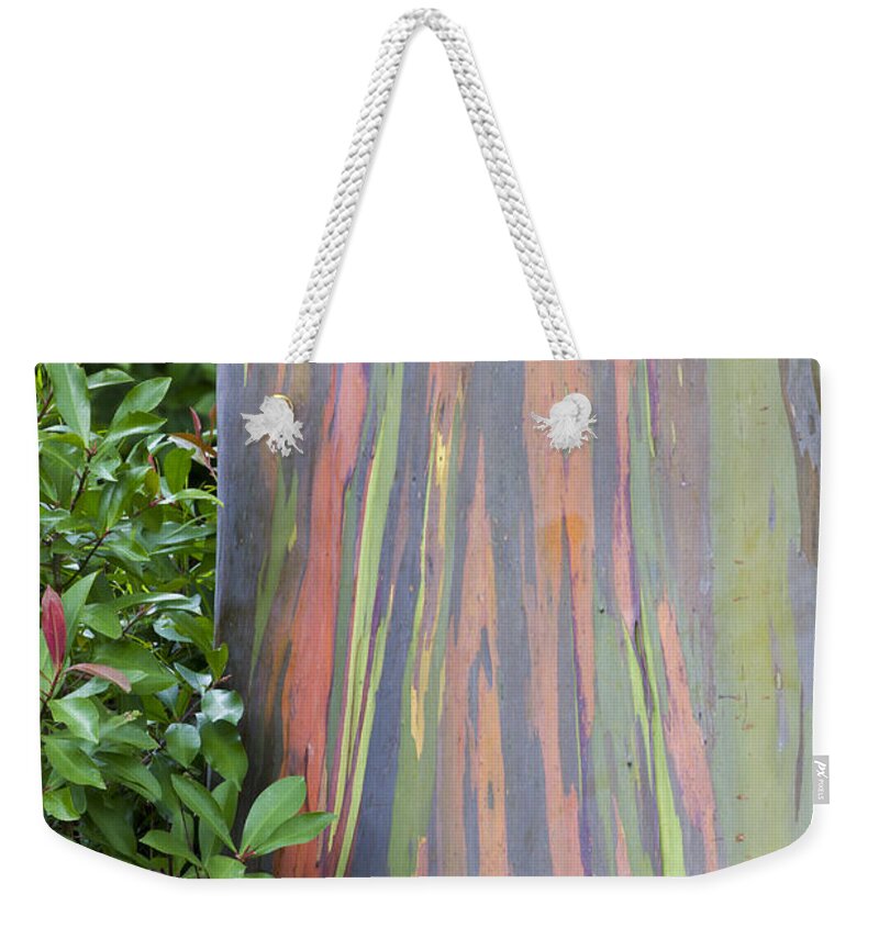 Hawaii Weekender Tote Bag featuring the photograph Rainbow Eucalyptus by Bryan Keil
