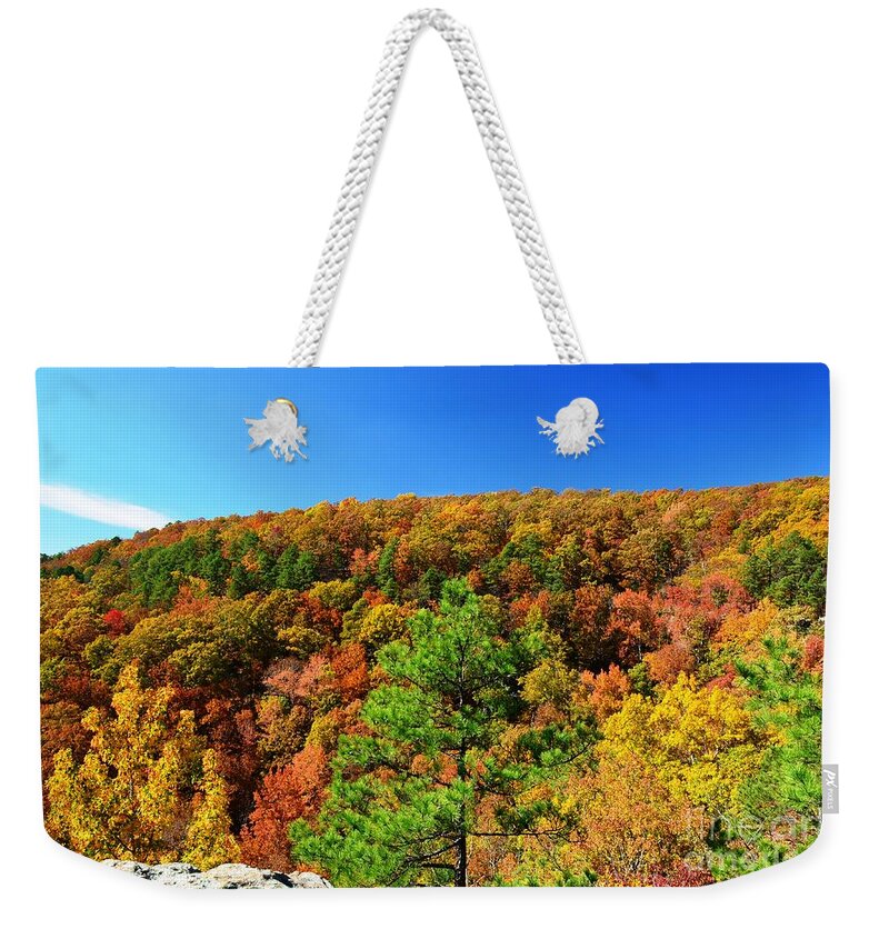 Trees Weekender Tote Bag featuring the photograph Rainbow of Colors by Deanna Cagle