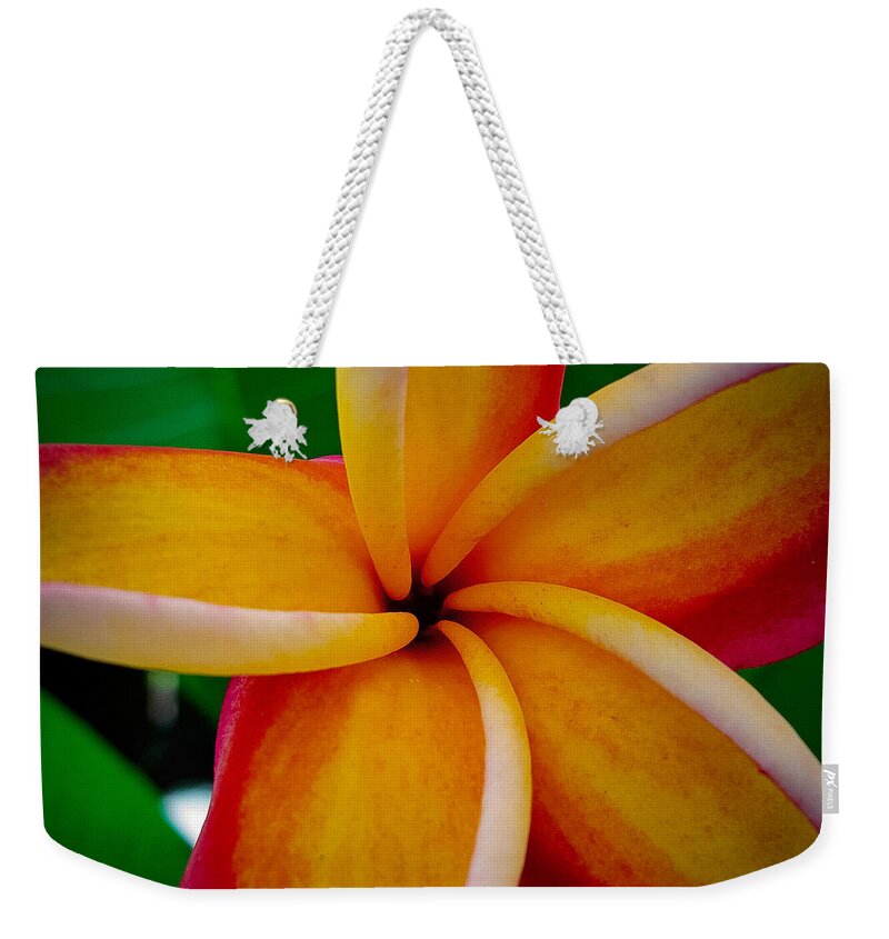 Plumeria Weekender Tote Bag featuring the photograph Rainbow Plumeria by TK Goforth
