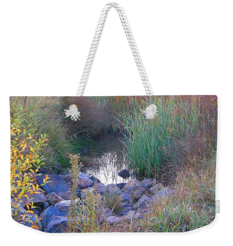 Rainbow Colors Weekender Tote Bag featuring the photograph Rainbow Pond by Bev Conover