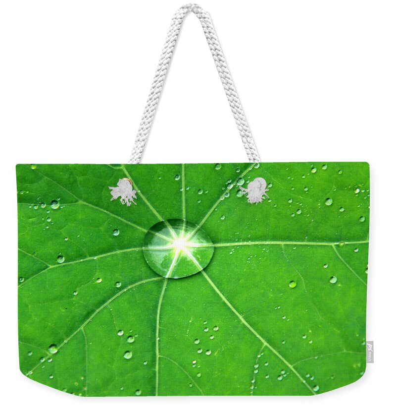  Green Leaf Weekender Tote Bag featuring the photograph Raindrop Junction by Aidan Moran
