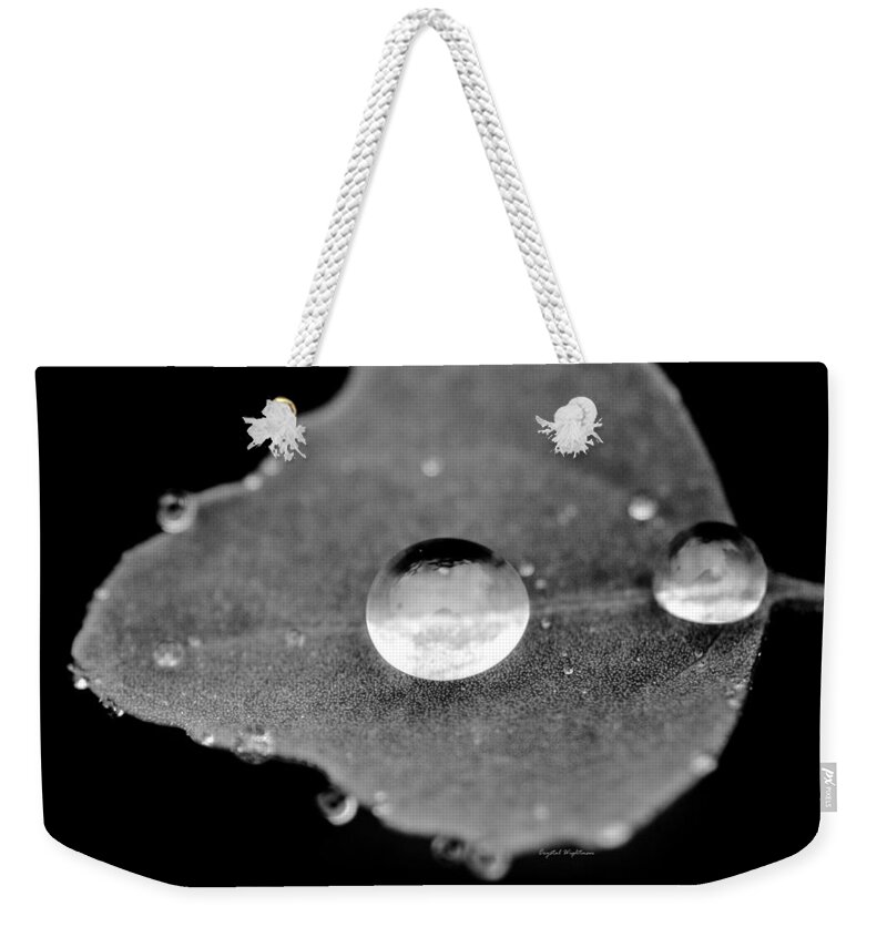 Raindrop Weekender Tote Bag featuring the photograph Raindrop on a leaf by Crystal Wightman