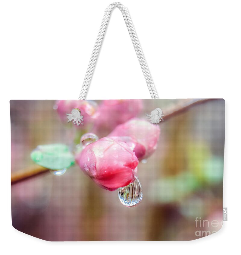  Water Drop On Flower Weekender Tote Bag featuring the photograph Raindrops on Pink Beauty by Peggy Franz