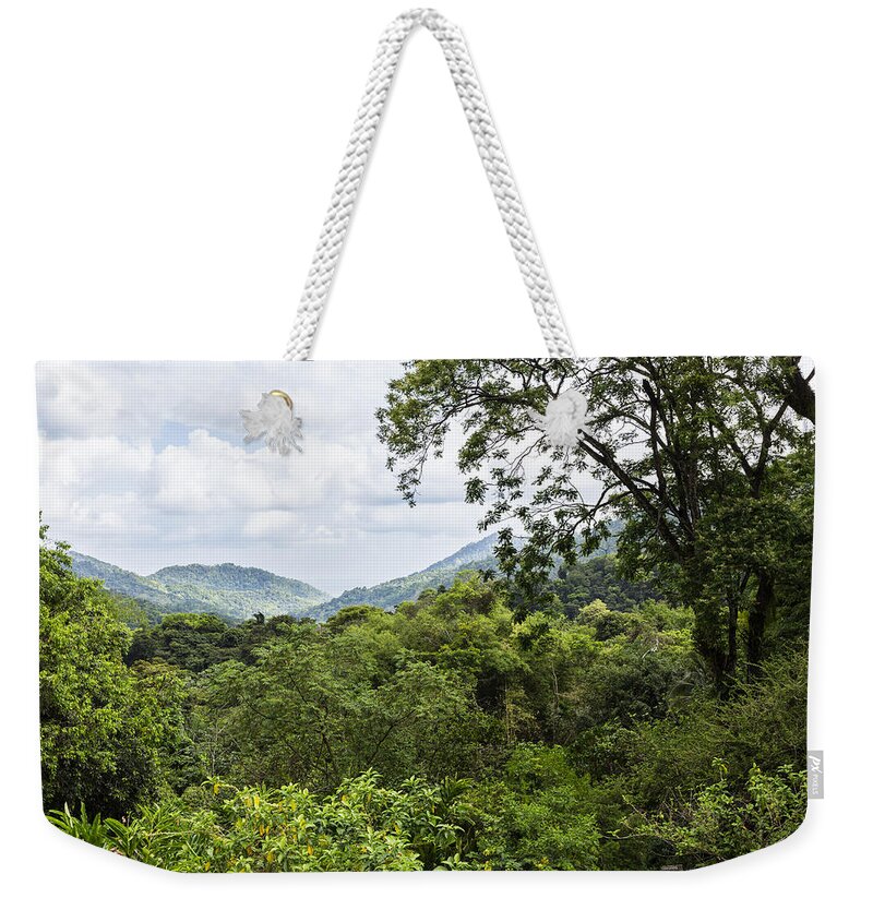 Konrad Wothe Weekender Tote Bag featuring the photograph Rainforest Trinidad West Indies by Konrad Wothe