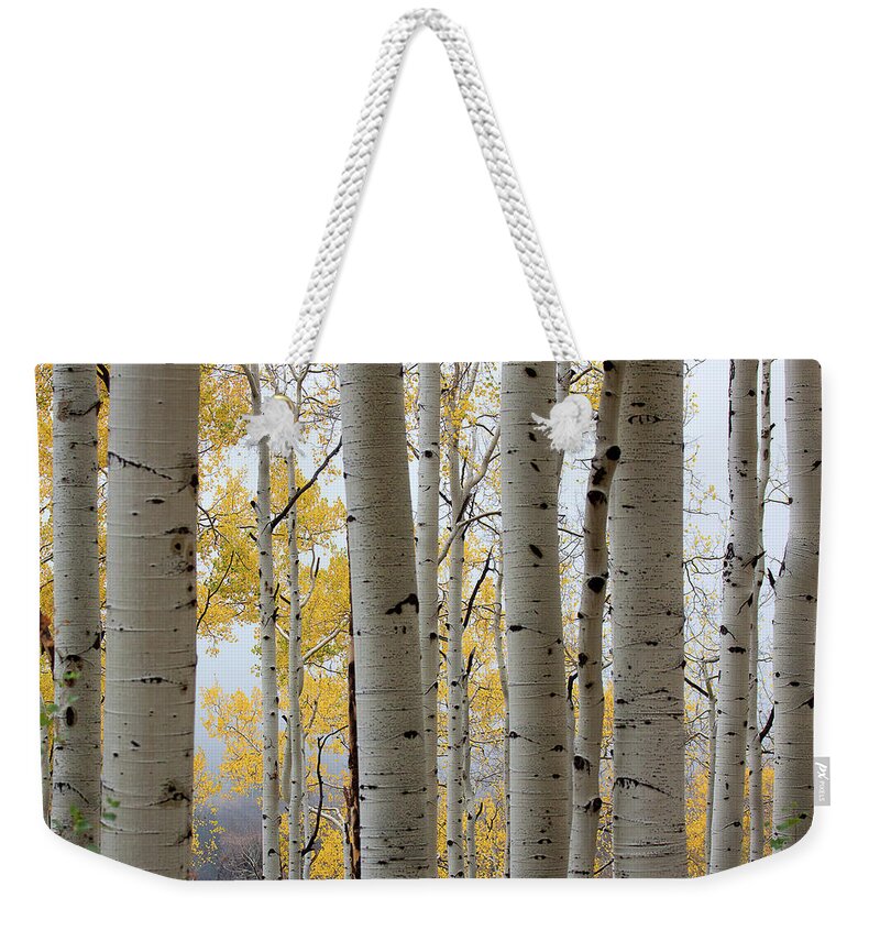 Autumn Colors Weekender Tote Bag featuring the photograph Rainy Day Aspen by Jim Garrison