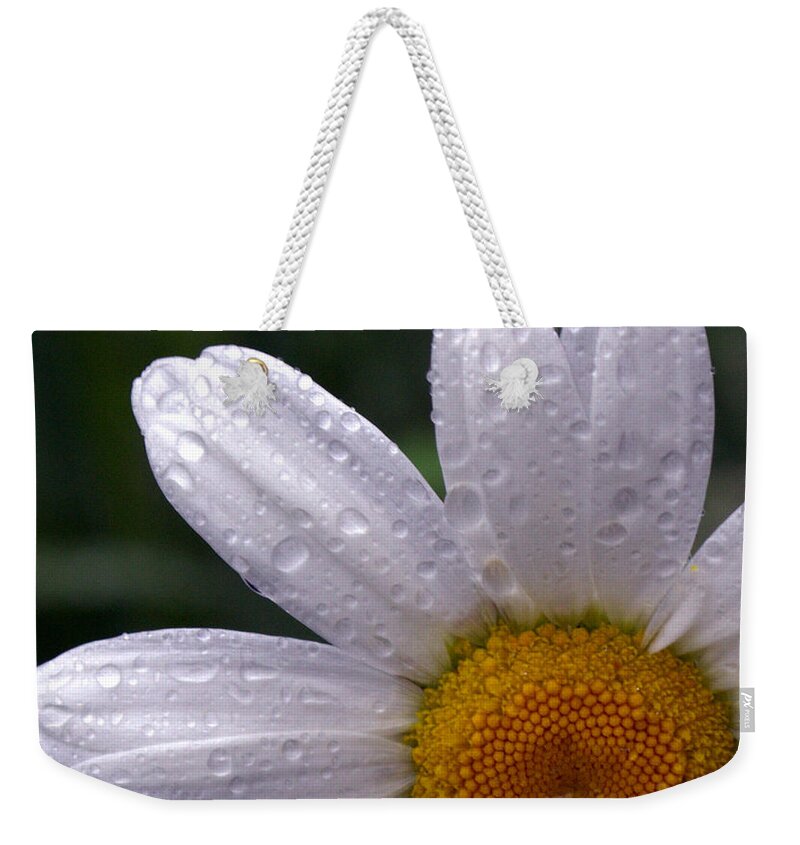 Flower Weekender Tote Bag featuring the photograph Rainy Day Daisy by Kevin Fortier