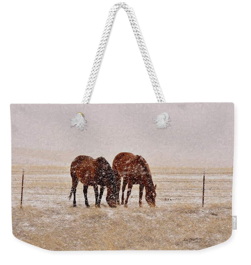 Brown Horses Weekender Tote Bag featuring the photograph Ranch Horses in Snow by Kae Cheatham