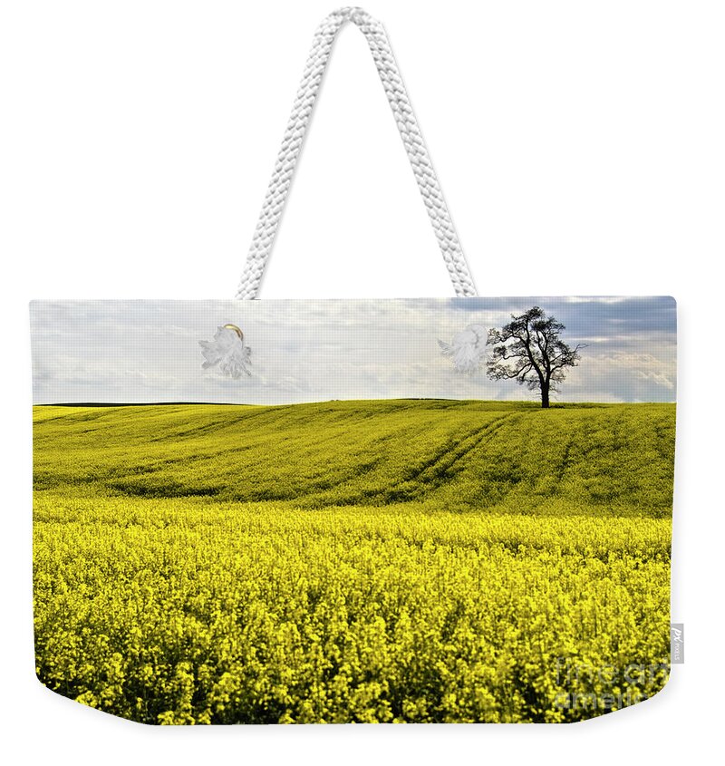 Heiko Weekender Tote Bag featuring the photograph Rape landscape with lonely tree by Heiko Koehrer-Wagner