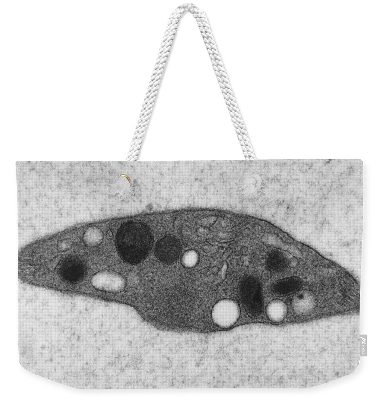 Science Weekender Tote Bag featuring the photograph Rat Platelet Tem by David M. Phillips