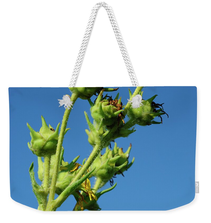 Blue And Green Weekender Tote Bag featuring the photograph Reach by Christi Kraft