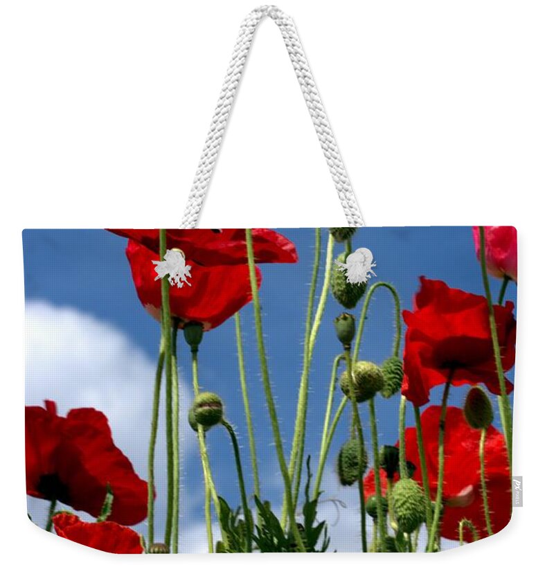 Flora Weekender Tote Bag featuring the photograph Reach for the Sky by Stephen Melia