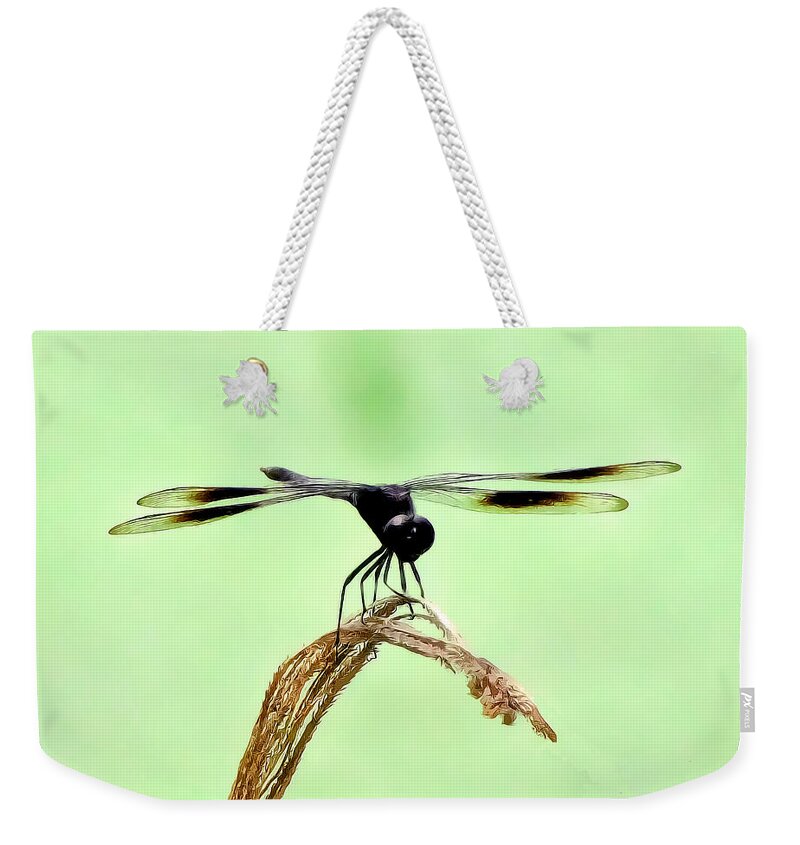 Dragonfly Photograph Weekender Tote Bag featuring the photograph Ready for TakeOff by Lucy VanSwearingen