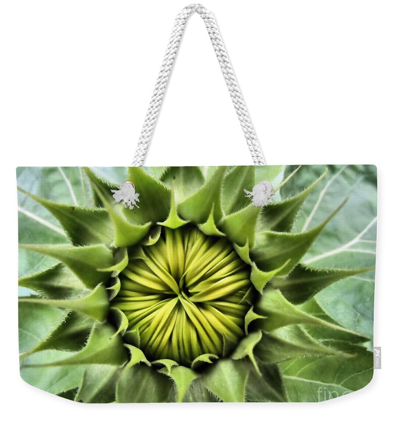 Sunflower Weekender Tote Bag featuring the photograph Ready Or Not Here I Come by Elizabeth Dow