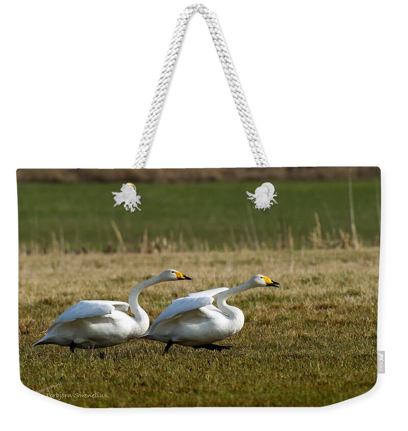 Ready Weekender Tote Bag featuring the photograph Ready stead go by Torbjorn Swenelius