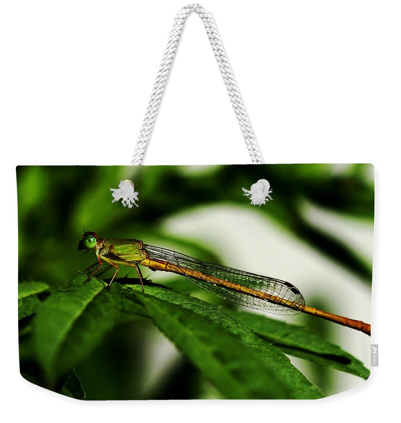 Green Weekender Tote Bag featuring the photograph Ready to Take Off - Damselfly by Ramabhadran Thirupattur