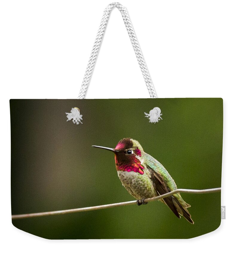 Jean Noren Weekender Tote Bag featuring the photograph Ready to zoom by Jean Noren