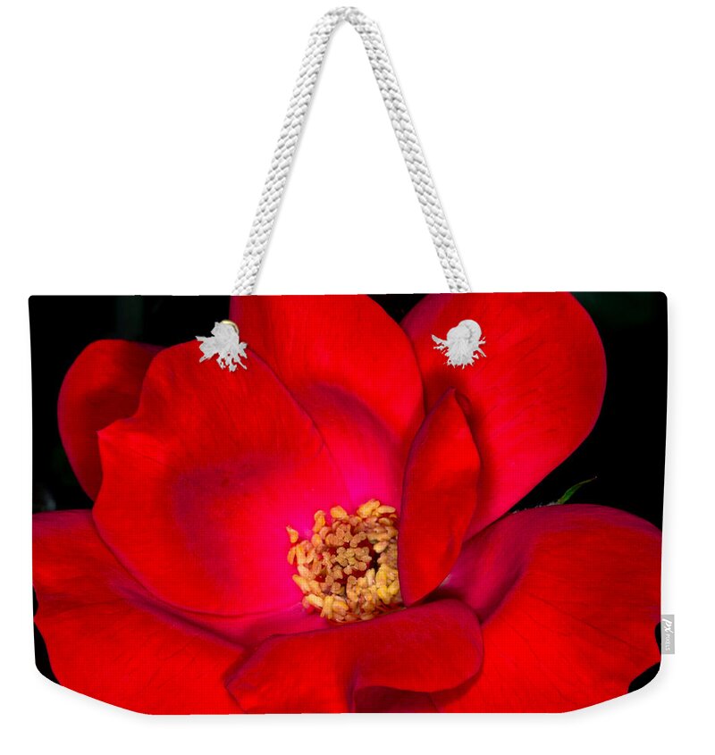 Art Prints Weekender Tote Bag featuring the photograph Real Red by Dave Bosse