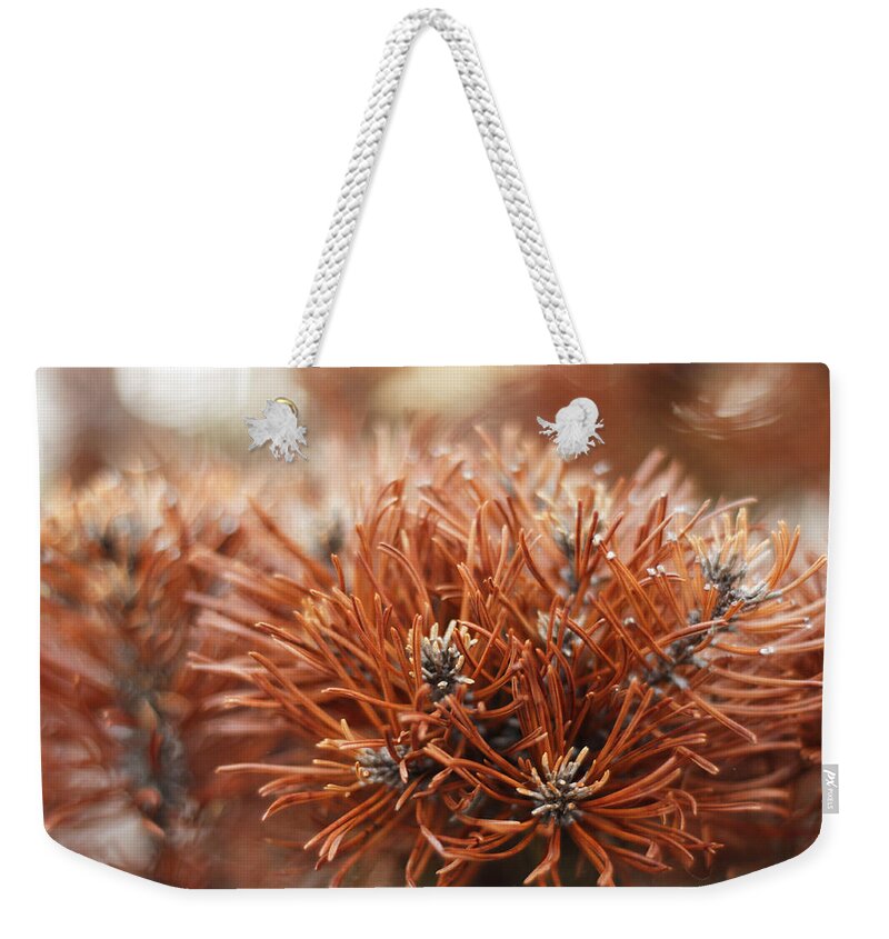 Fall Weekender Tote Bag featuring the photograph Red Autumn by Miguel Winterpacht