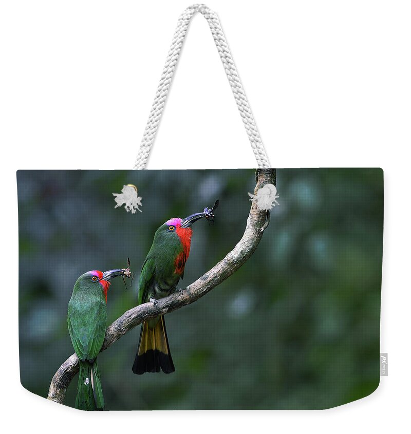 Animal Themes Weekender Tote Bag featuring the photograph Red Bearded Bee Eater by Photograph By Praphat Rattanayanon
