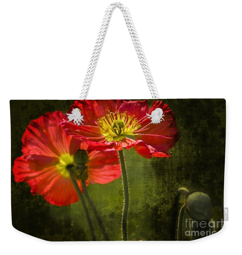 Poppy Weekender Tote Bag featuring the photograph Red Beauties in the Field by Heiko Koehrer-Wagner