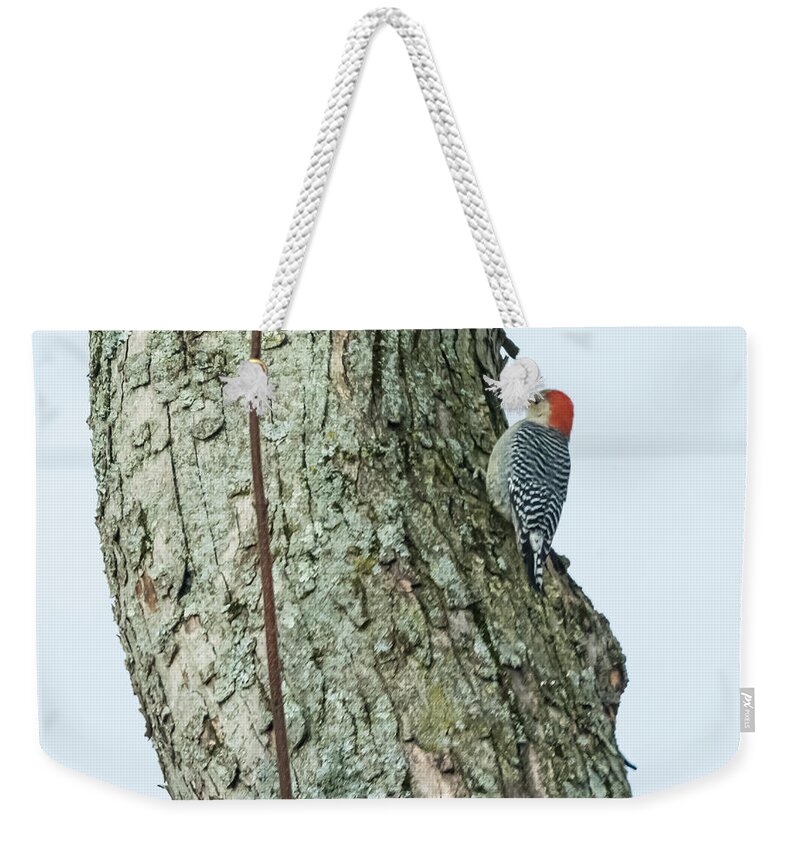 Red Weekender Tote Bag featuring the photograph Red-Bellied Woodpecker by Holden The Moment