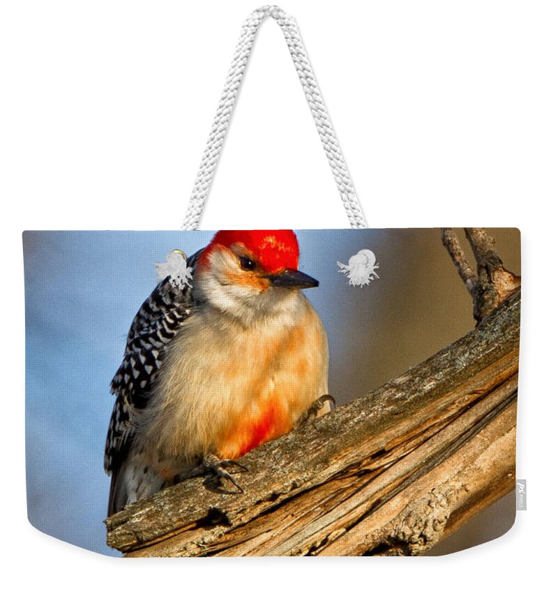 Award Winning Weekender Tote Bag featuring the photograph Red-bellied Woodpecker by Ronald Lutz