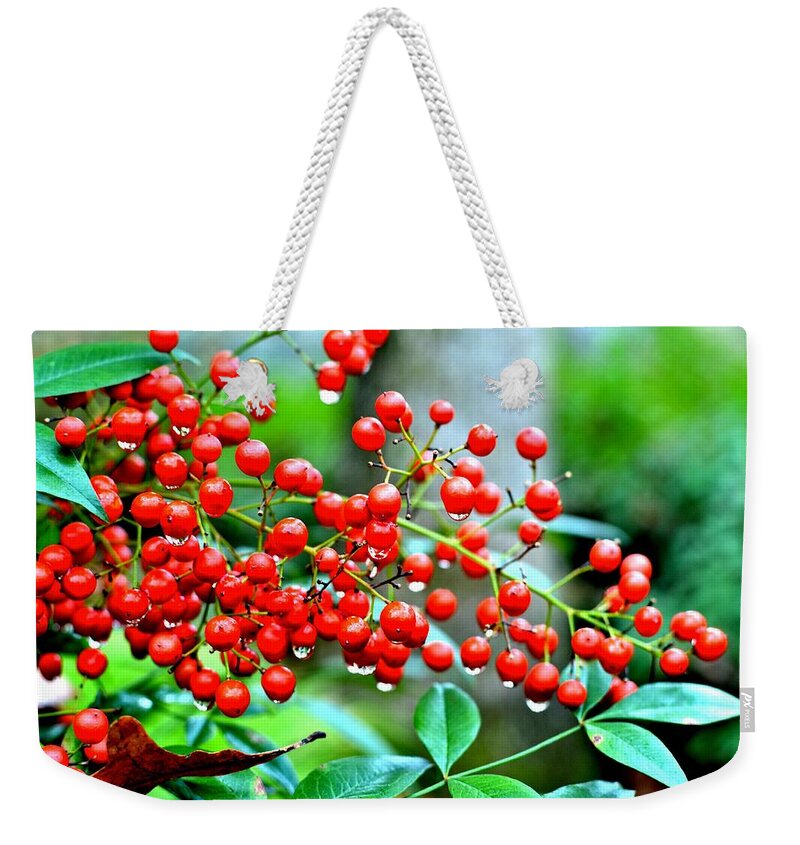 Berries Weekender Tote Bag featuring the photograph Red Berries by Tara Potts