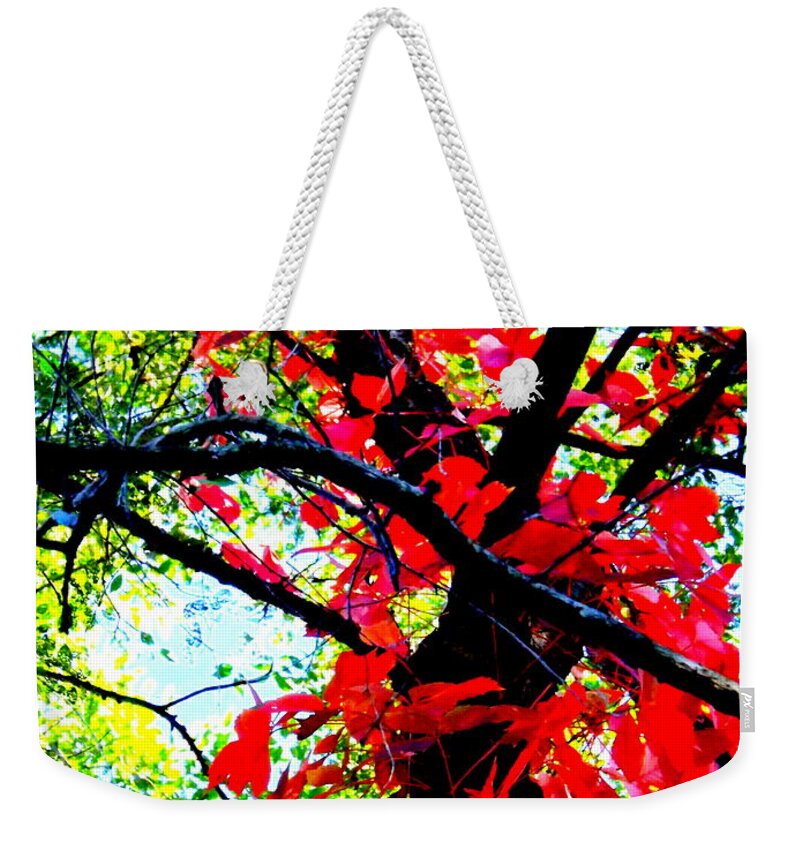 Red Creeper 2 Weekender Tote Bag featuring the photograph Red Creeper 2 by Darren Robinson