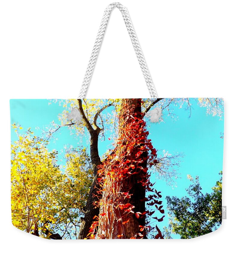 Red Creeper Weekender Tote Bag featuring the photograph Red Creeper by Darren Robinson