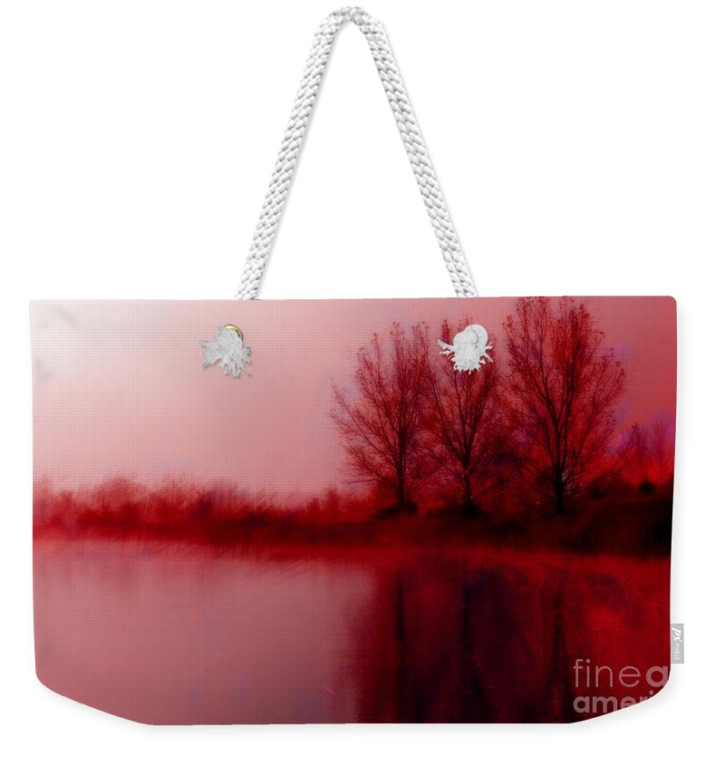 Sunset Weekender Tote Bag featuring the photograph Red Dawn by Julie Lueders 