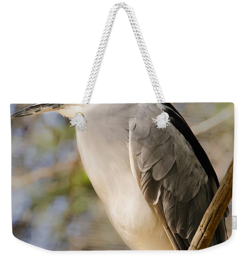 Pennysprints Weekender Tote Bag featuring the photograph Red Eye by Penny Lisowski