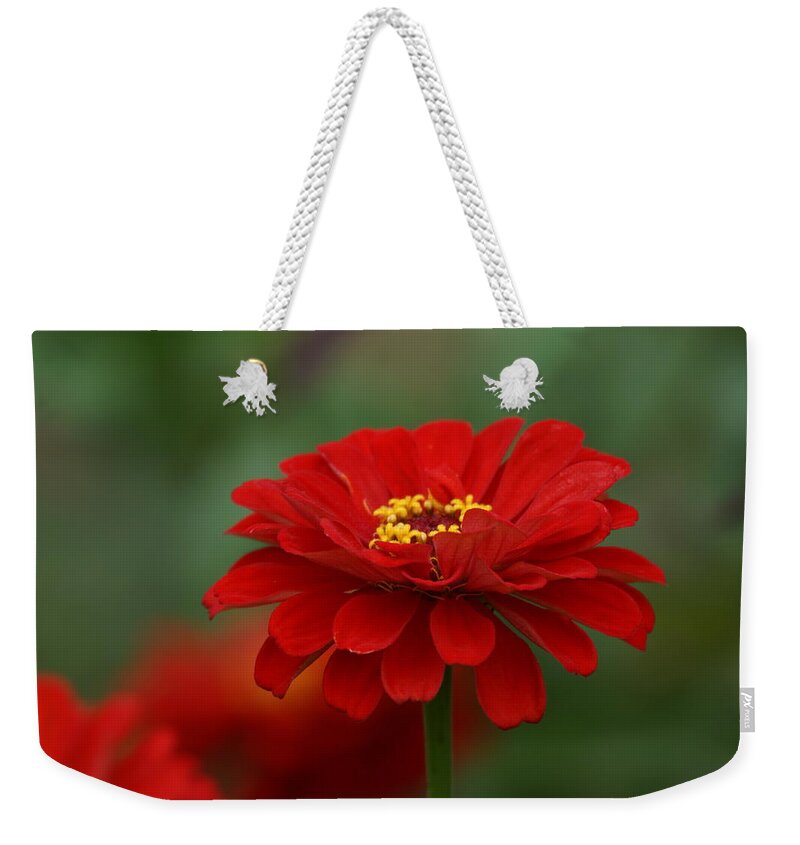 Red Weekender Tote Bag featuring the photograph Red Flower by Alan Hutchins