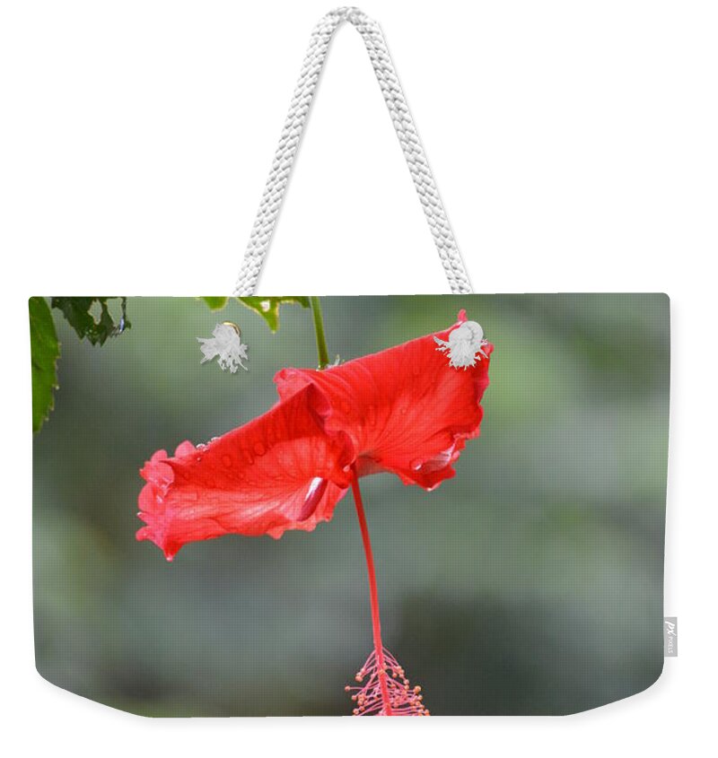 Flower Weekender Tote Bag featuring the photograph Red Flower St. John's by Tamara Michael