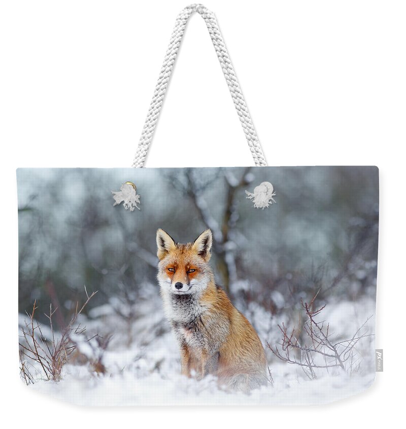 Fox Weekender Tote Bag featuring the photograph Red Fox Blue World by Roeselien Raimond